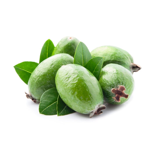 10 PINEAPPLE GUAVA Fruit Acca Guavasteen Brazilian or Fig Guava Feijoa Sellowiana Pink Red Flower Tree Shrub Seeds