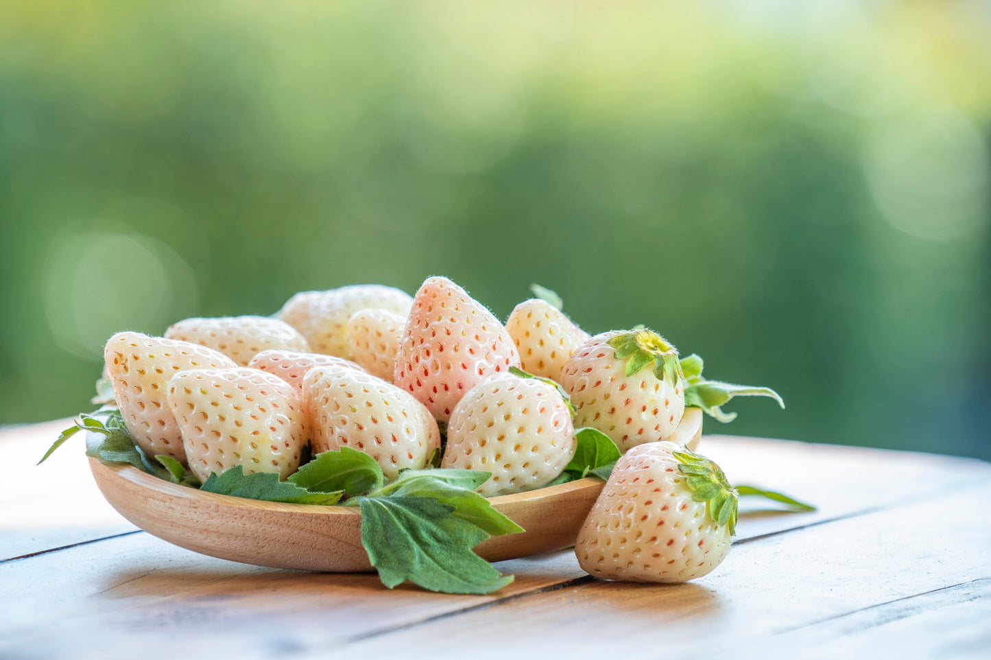 100 WHITE SOUL STRAWBERRY Fragaria Vesca Fruit Flower Berry Seeds