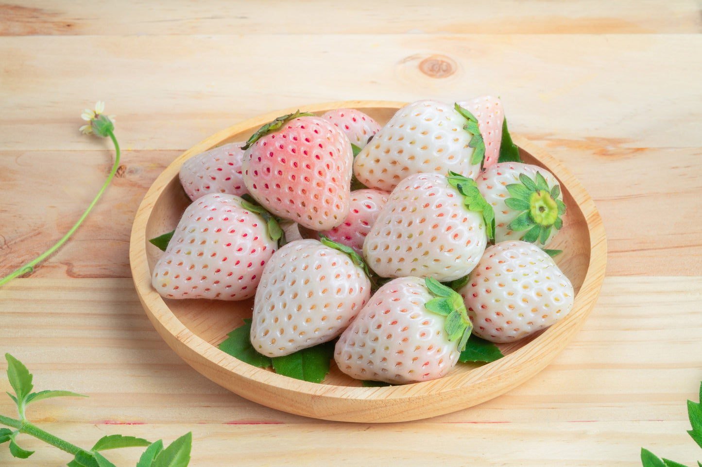 100 WHITE SOUL STRAWBERRY Fragaria Vesca Fruit Flower Berry Seeds