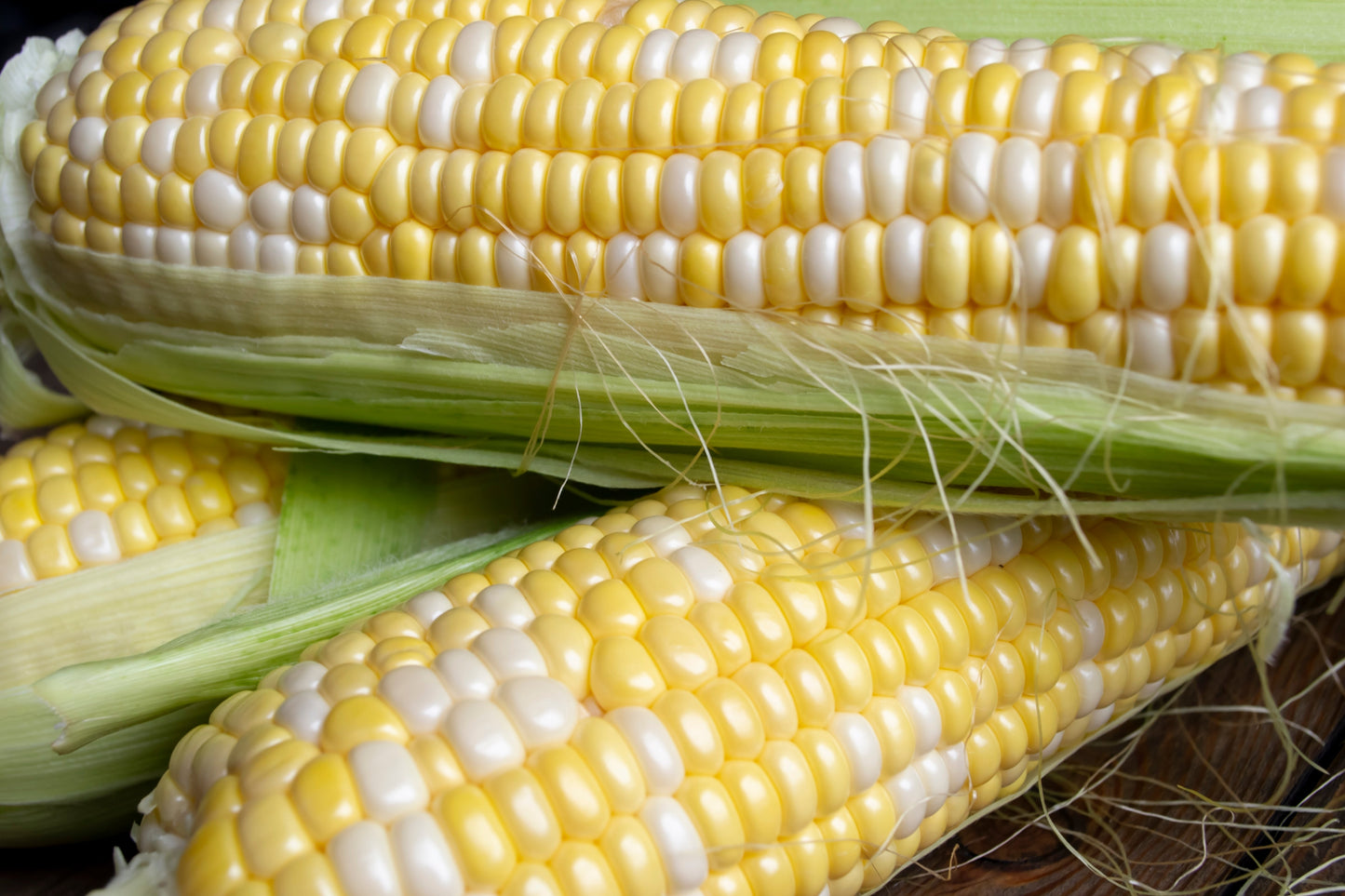 60 BICOLOR CORN DELECTABLE Yellow & White Zea Mays Vegetable Seeds