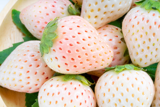 100 WHITE SOUL STRAWBERRY Fragaria Vesca Fruit Flower Berry Seeds