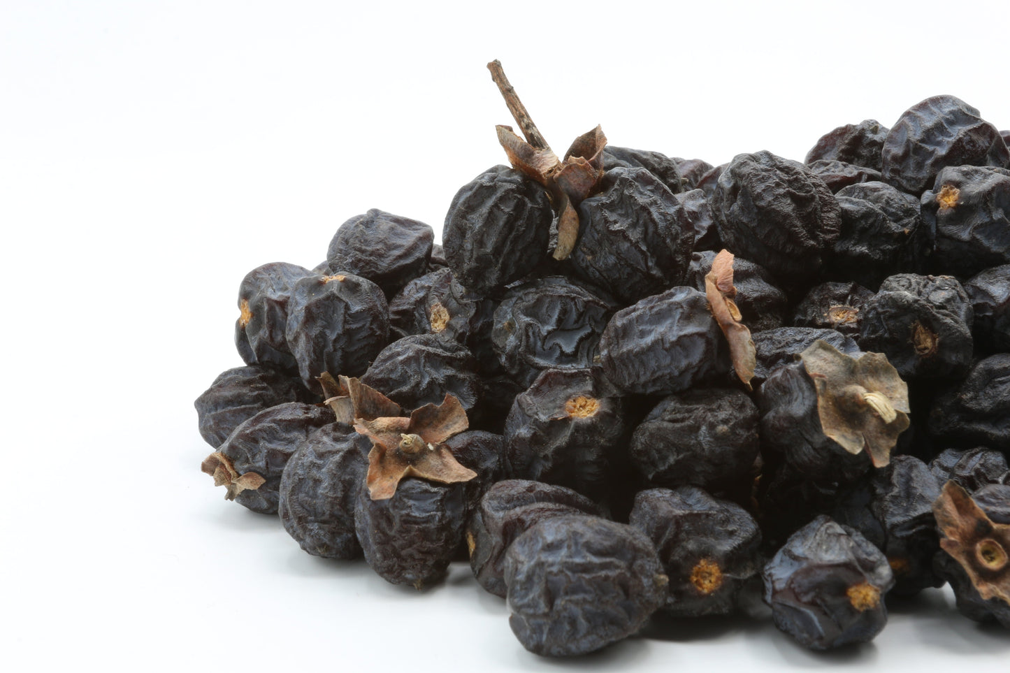 10 ITALIAN PERSIMMON TREE Dateplum Date Plum Fruit Diospyros Lotus Seeds