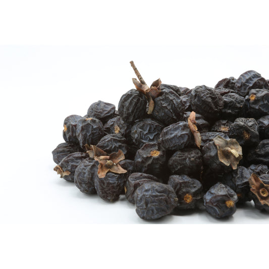 10 ITALIAN PERSIMMON TREE Dateplum Date Plum Fruit Diospyros Lotus Seeds