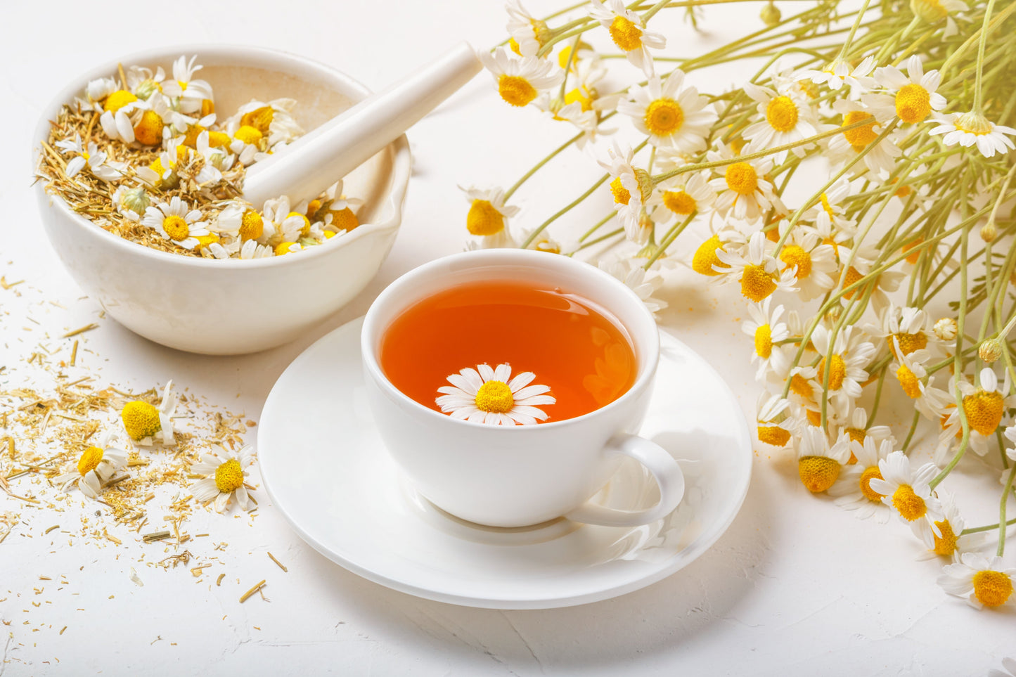 1000 GERMAN CHAMOMILE Matricaria Recutita Chamomilla Herb Flower Seeds