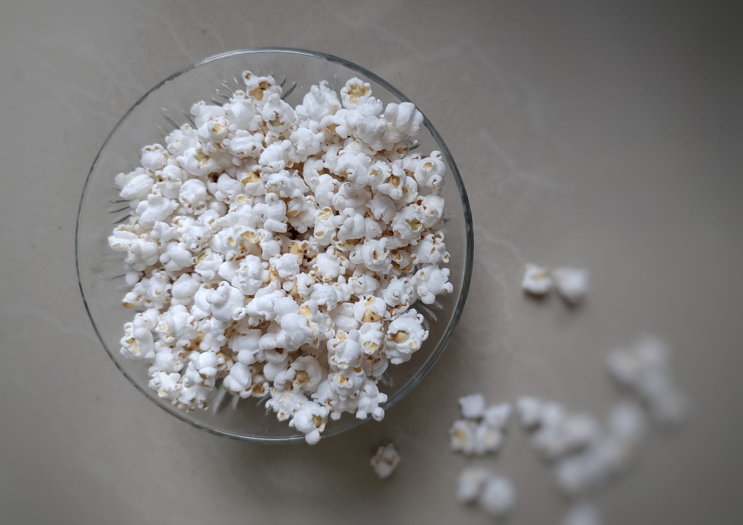 75 WHITE POPPING SORGHUM Bicolor Snack Vegetable Flour Grain Seeds