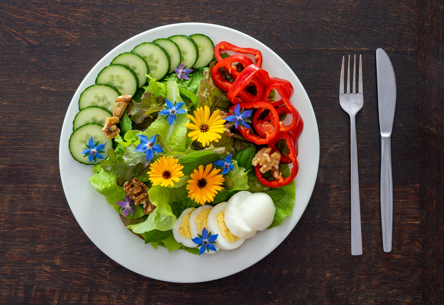 100 Blue Star BORAGE HERB Borago Officinalis Flower Seeds