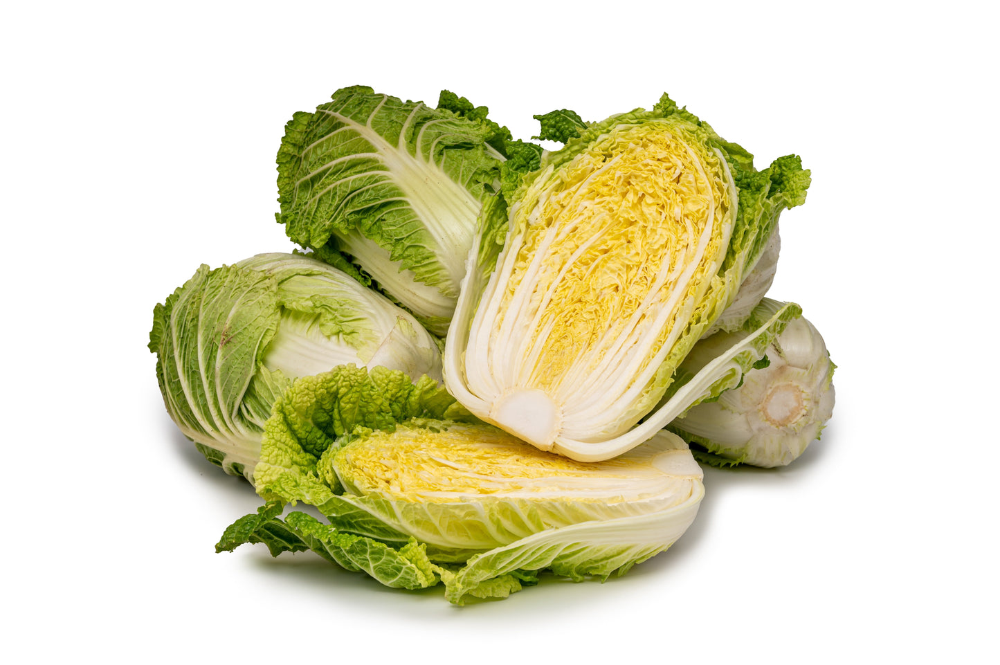 500 MICHIHILI CABBAGE (Chinese Cabbage / Bok Choy / Pak Choi / Celery Mustard / Chinese Chard) Brassica Rapa Chinensis Vegetable Seeds