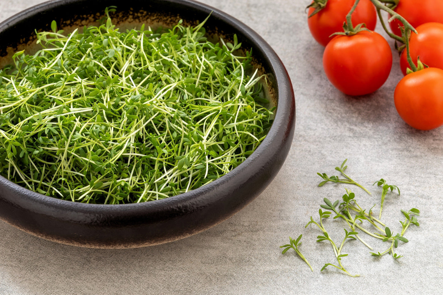 1000 Fine Curled PEPPERGRASS / PEPPERCRESS / WATERCRESS Lepidium Sativum Greens Sprouts Vegetable Sprouting Seeds