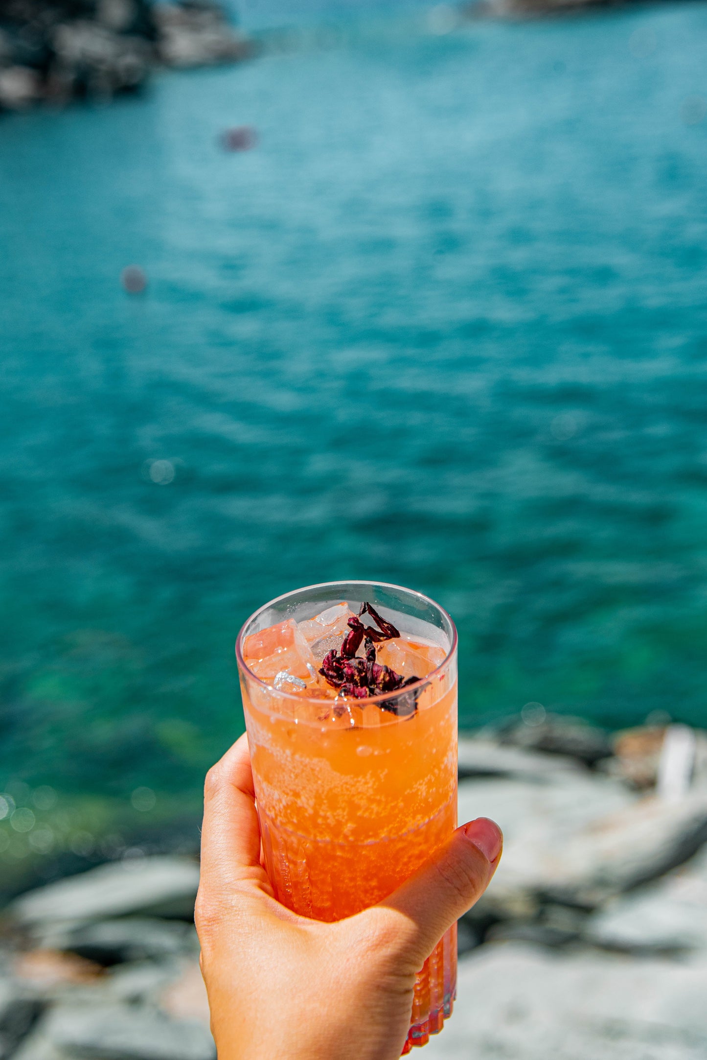 50 TENDERSWEET ORANGE WATERMELON Orange Flesh Citrullus Lanatus Fruit Melon Seeds