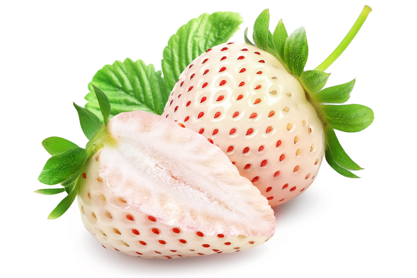 100 WHITE SOUL STRAWBERRY Fragaria Vesca Fruit Flower Berry Seeds
