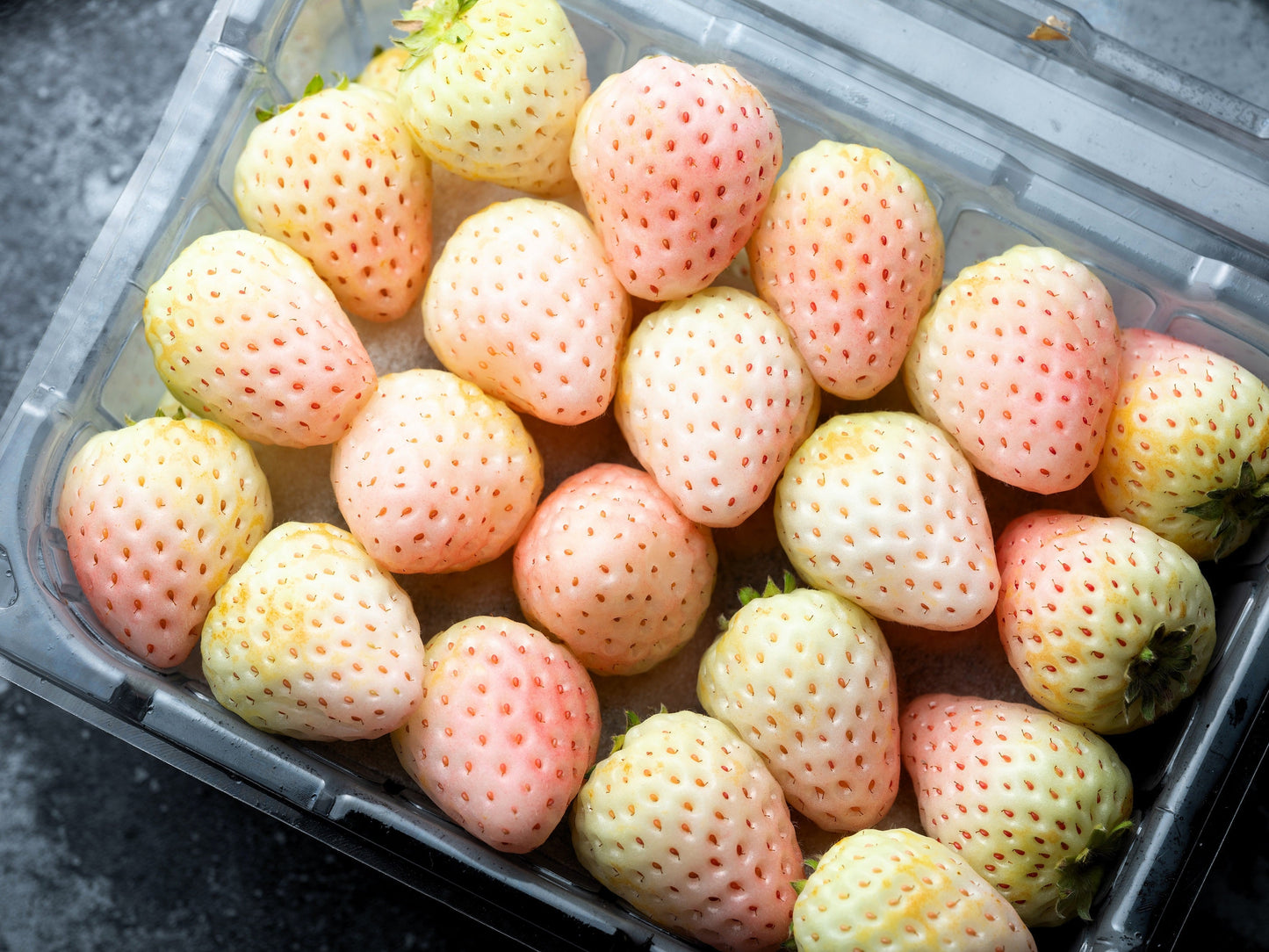 100 WHITE SOUL STRAWBERRY Fragaria Vesca Fruit Flower Berry Seeds