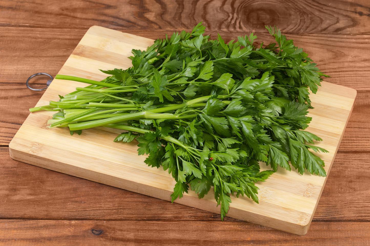 1000 GIANT ITALIAN Flat Leaf PARSLEY Petroselinum Crispum Neapolitanum Herb Vegetable Flower Seeds