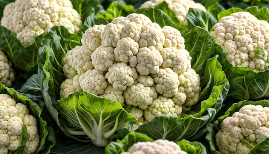 250 SNOWBALL SELFBLANCHING CAULIFLOWER White Brassica Oleracea Vegetable Seeds