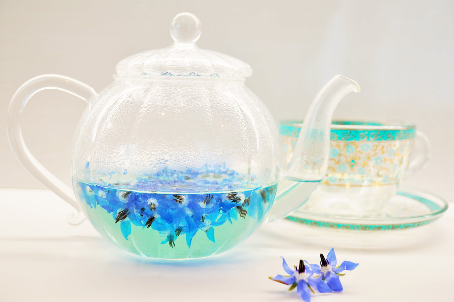 100 Blue Star BORAGE HERB Borago Officinalis Flower Seeds