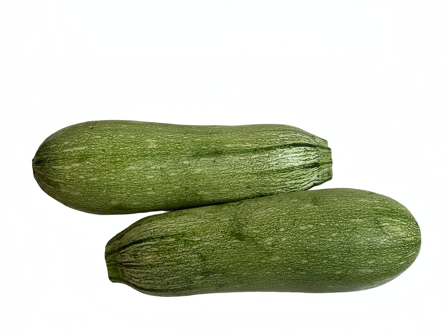 30 GRAY ZUCCHINI Heirloom Summer Bush Squash Cucurbita Pepo Vegetable Seeds