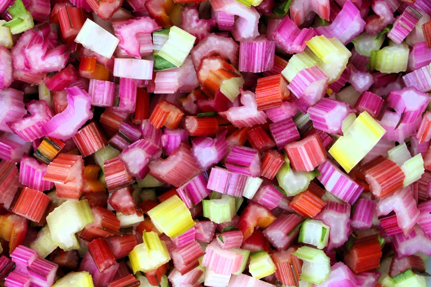 150 RAINBOW MIX SWISS CHARD Mixed Colors Beta Vulgaris Vegetable Seeds