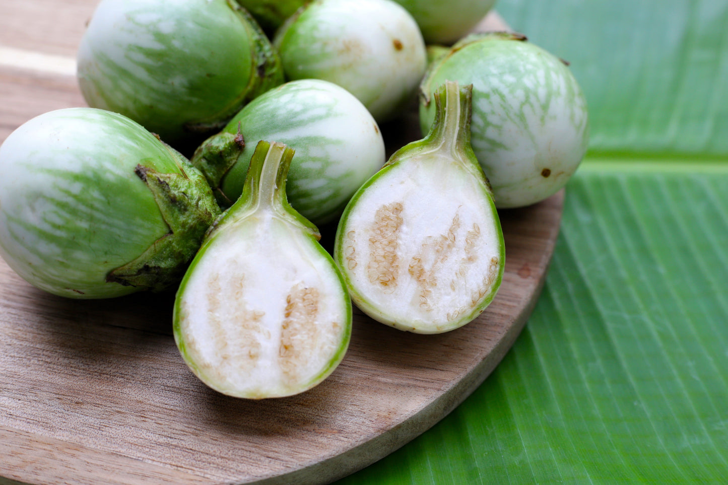10 KERMIT EGGPLANT Green White Thai Solanum Melongena Fruit Vegetable Seeds