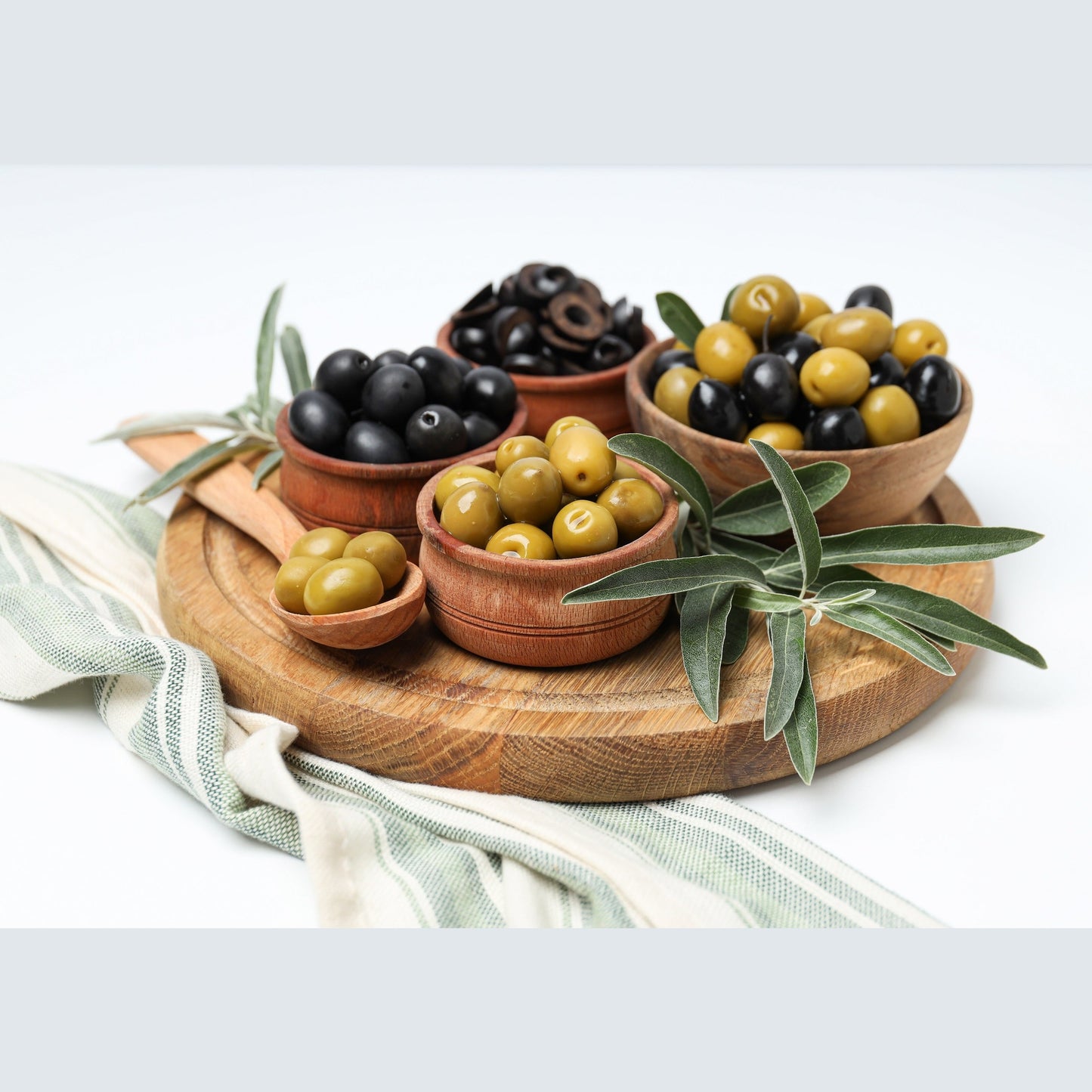 10 CANINO OLIVE TREE Olea Europaea Canino Edible European Common Green Black Fruit Seed