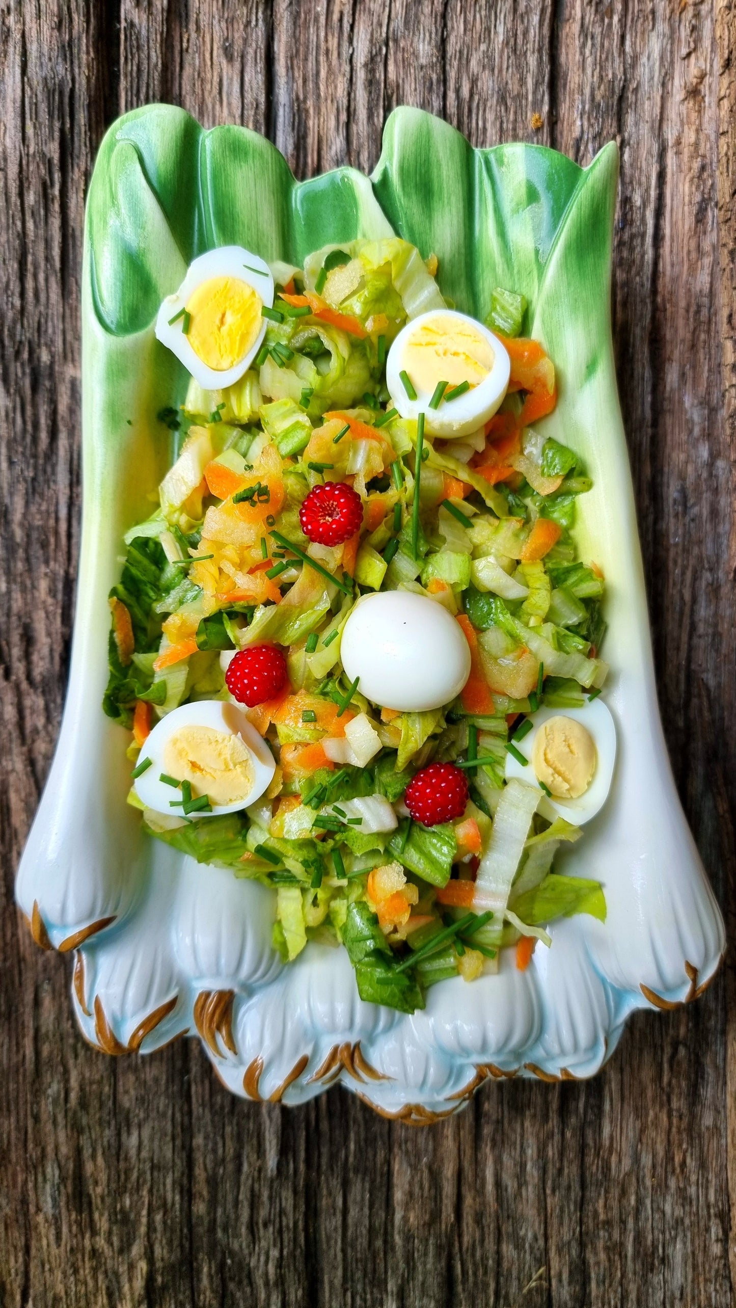 250 SUGAR LOAF ENDIVE Radicchio Escarole Cichorium Intybus Green Vegetable Seeds