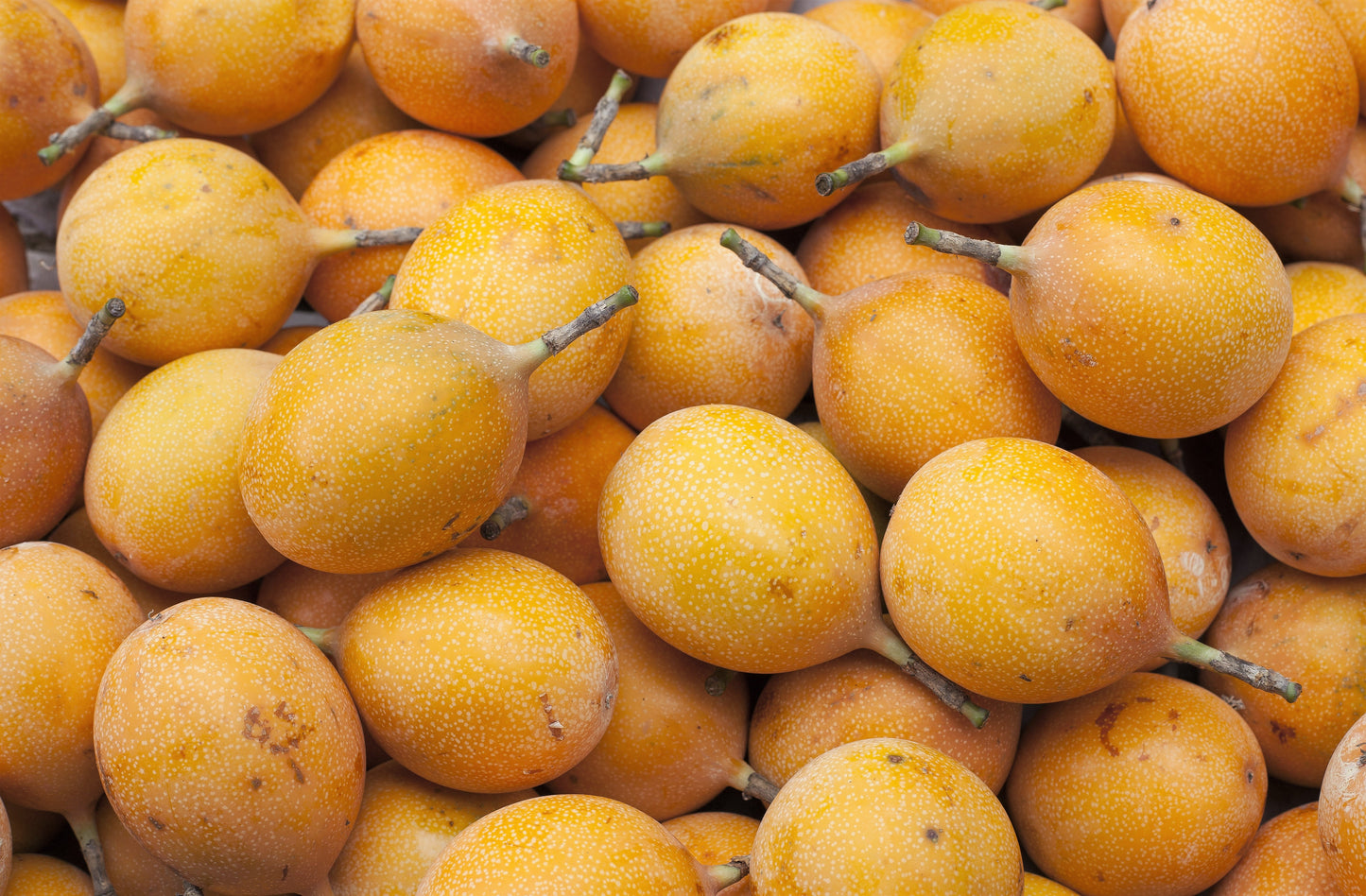 10 SWEET GRANADILLA Yellow Passionfruit Grenadia Sugar Fruit Passiflora Ligularis Huge Purple & White Flower Yellow Orange Fruit Vine Seeds