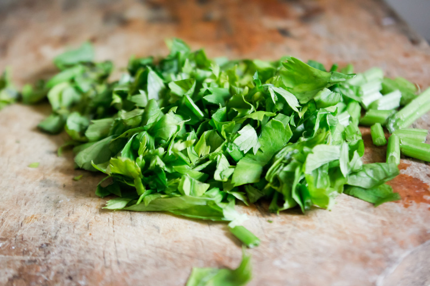 2000 CUTTING LEAF CELERY Apium Graveolens Soup Vegetable Herb Seeds