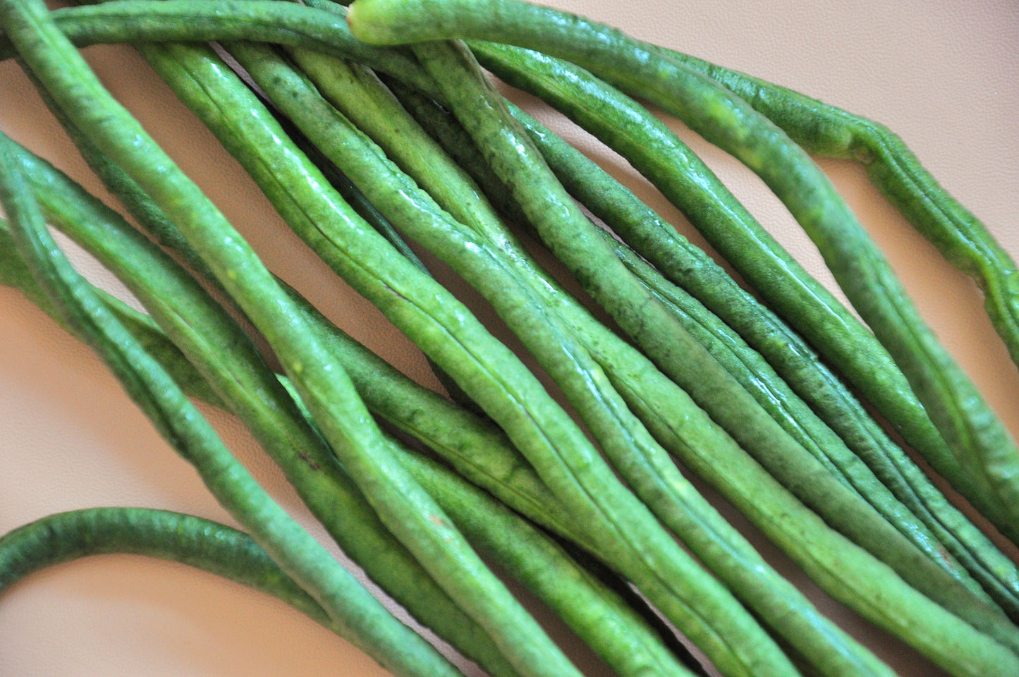 30 YARD LONG BEAN Asparagus Bean Cowpea Phaseolus Vulgaris Vegetable Seeds