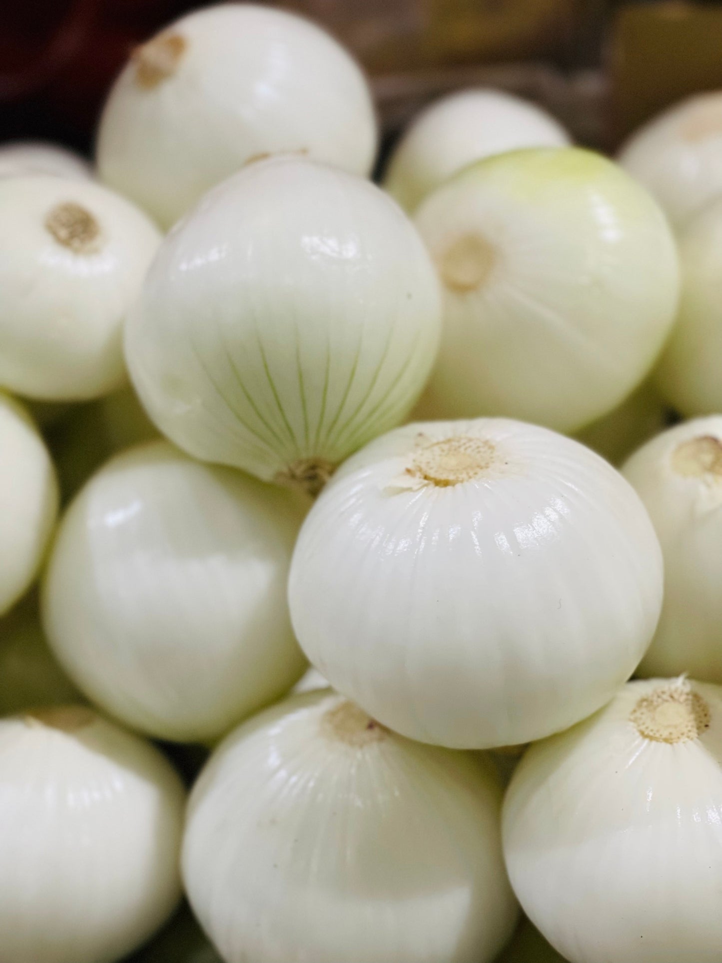 250 ECLIPSE ONION White Sweet Allium Cepa Vegetable Seeds