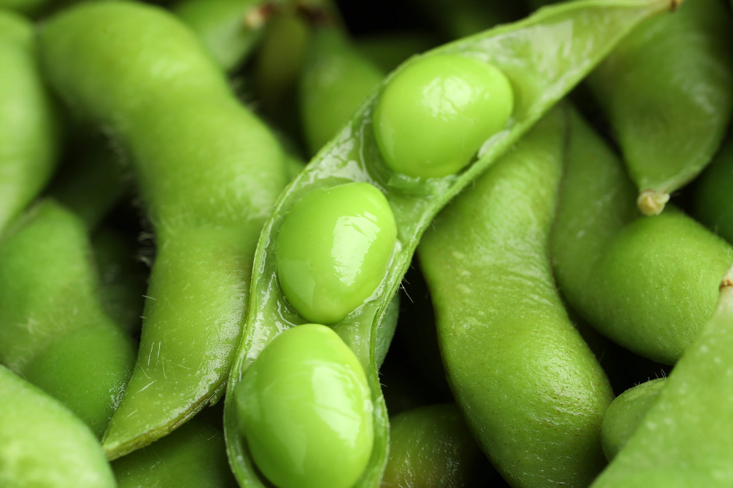 20 Edamame BE SWEET SOYBEAN Glycine Max Soy Bean Green / Yellow Vegetable Seeds