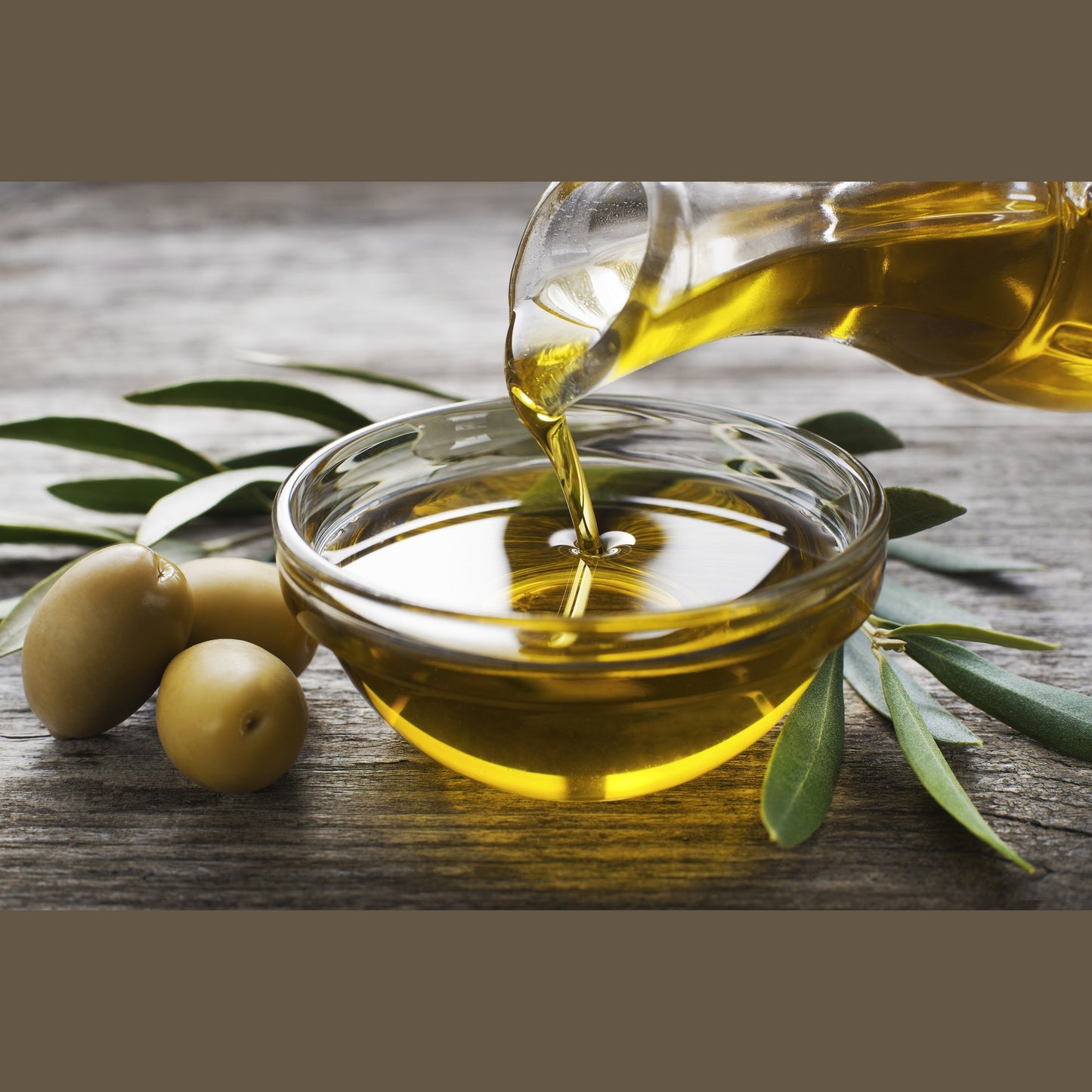 10 CANINO OLIVE TREE Olea Europaea Canino Edible European Common Green Black Fruit Seed