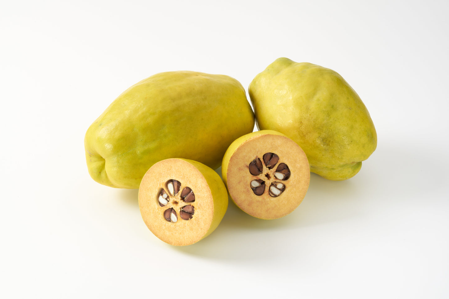 20 Chinese QUINCE FRUIT TREE Chaenomeles Sinensis Pseudocydonia Fruit Flower Seeds Thornless