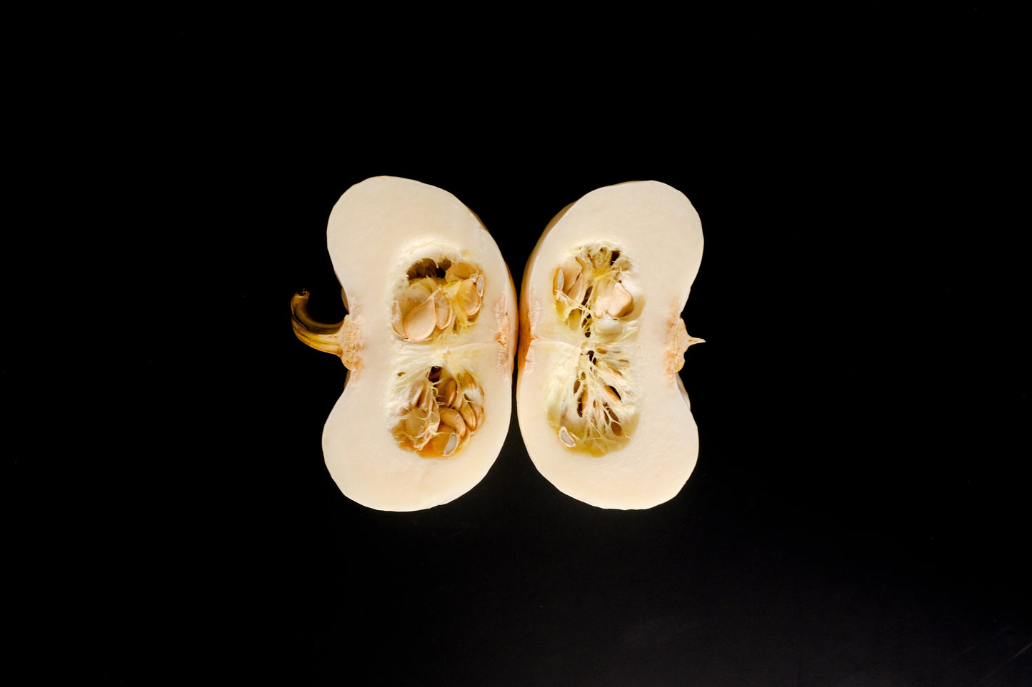 15 WHITE Baby Boo MINI PUMPKIN Miniature Cucurbita Pepo Vegetable Seeds