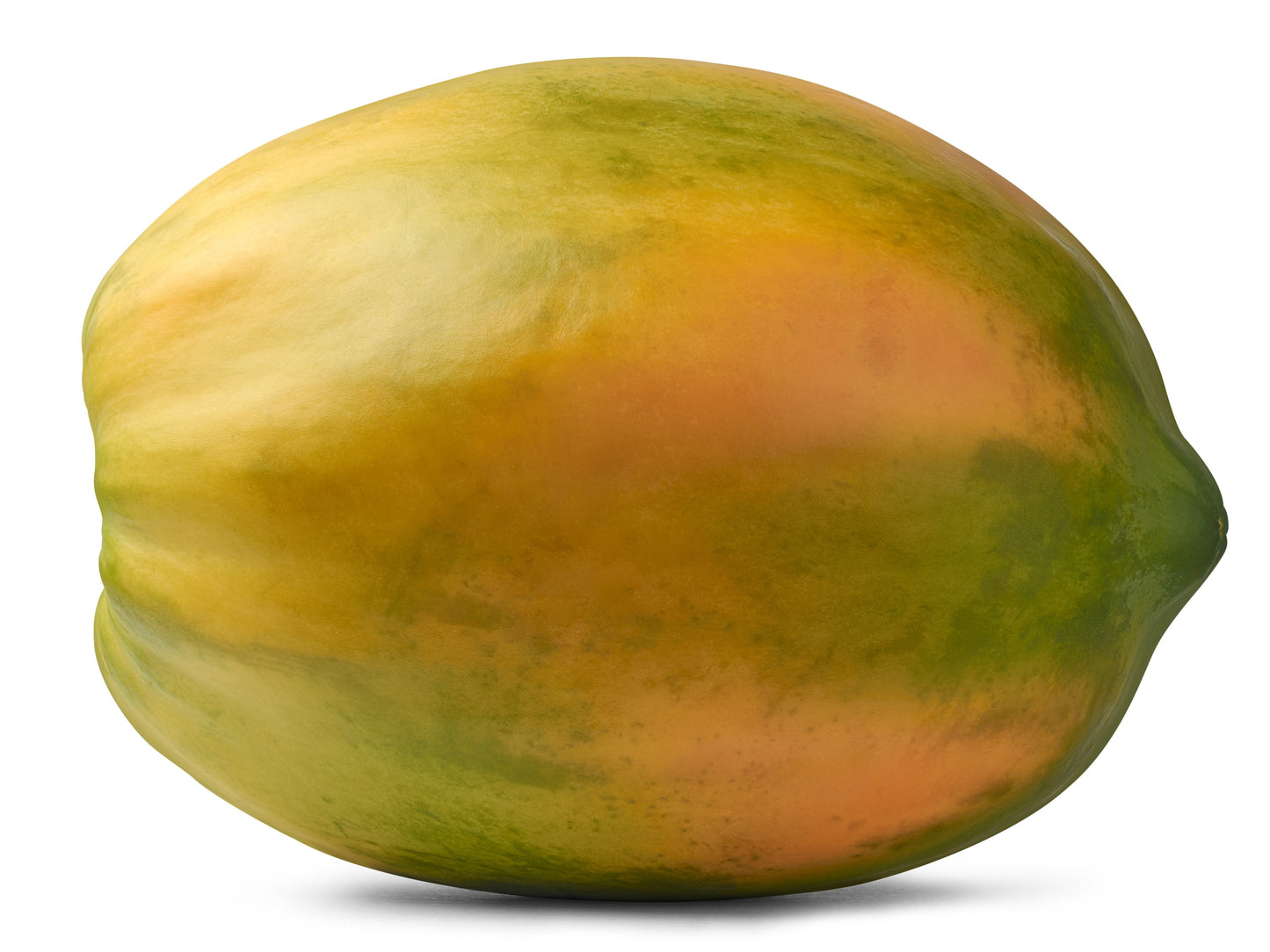 10 DWARF WAIMANALO PAPAYA Solo Hawaiian Carica Fruit Tree Houseplant Seeds