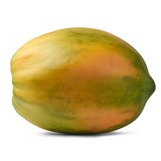 10 DWARF WAIMANALO PAPAYA Solo Hawaiian Carica Fruit Tree Houseplant Seeds