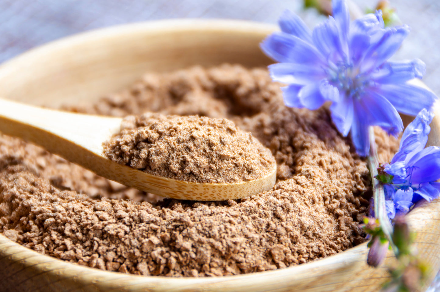 1000 CHICORY (Blue Daisy / Blue Sailors / Coffeeweed / Succory) Chicorium Cicorium Intybus Flower Herb Seeds