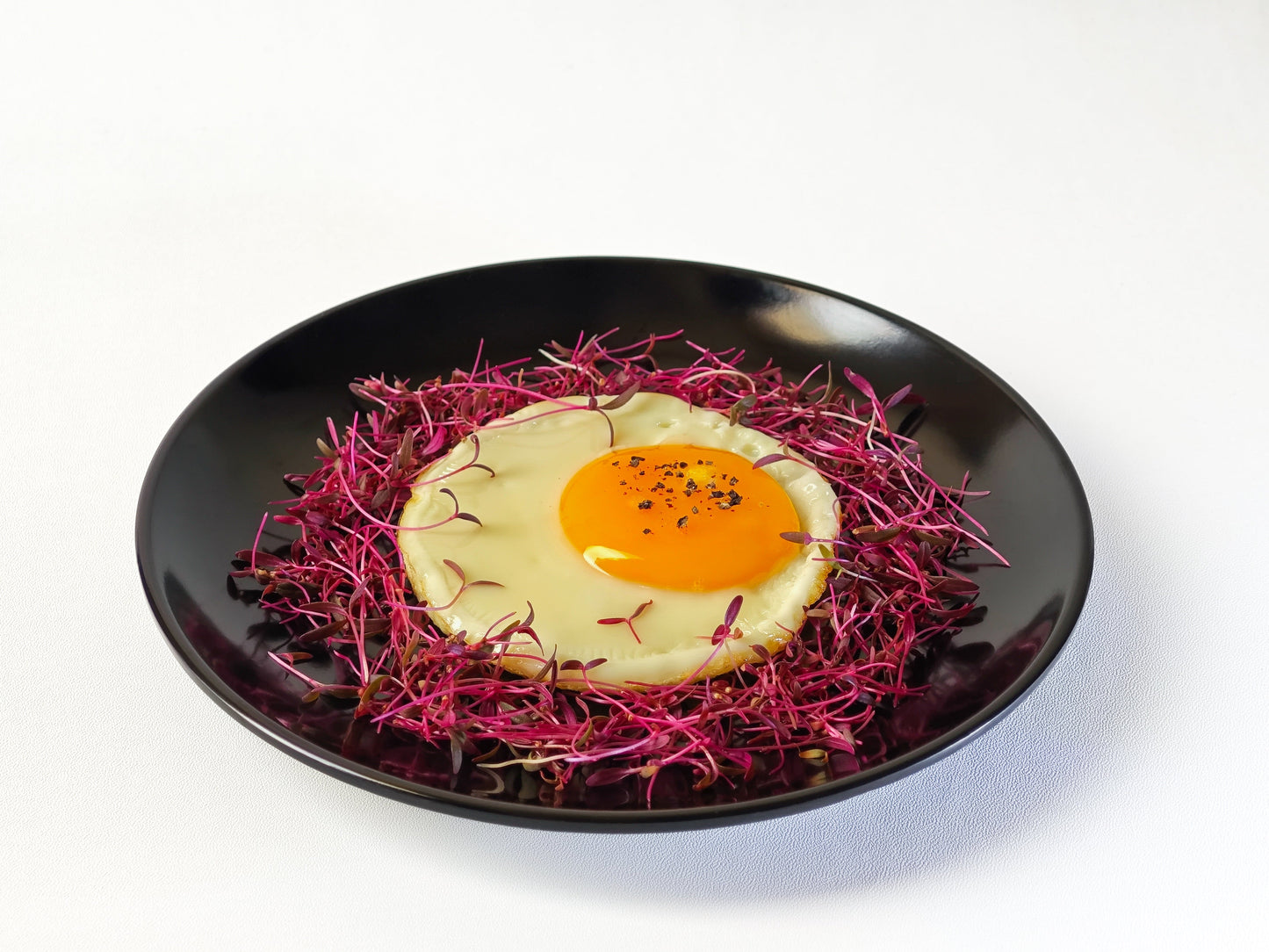 500 RED GARNET AMARANTH Amaranthus Tricolor Vegetable Flower Seeds