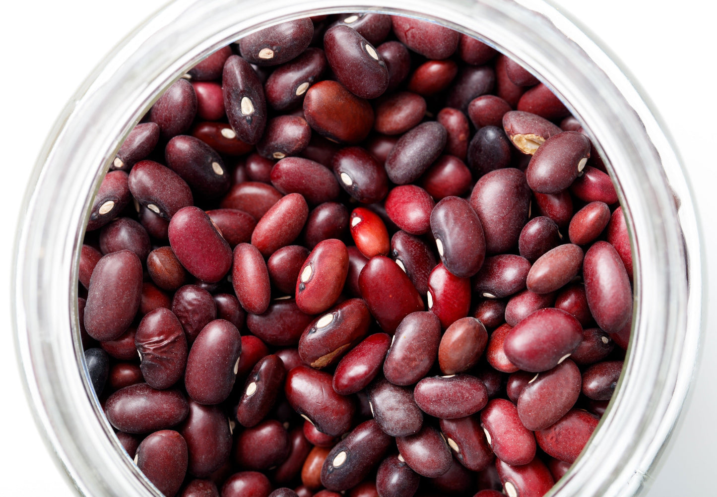 50 Organic SMALL RED BEAN Phaseolus Vulgaris Vegetable Seeds