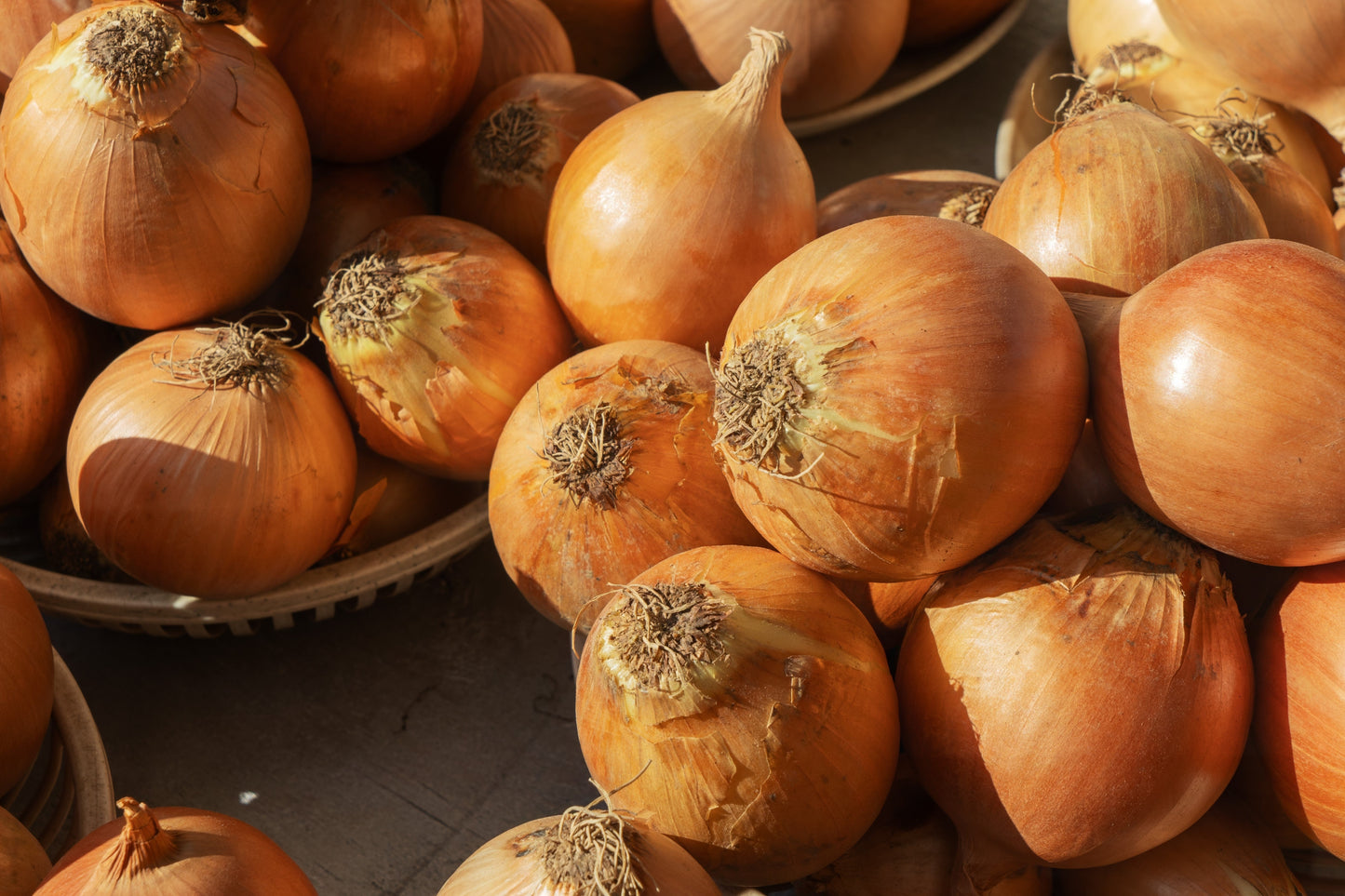 250 Sweet WALLA WALLA ONION Allium Cepa Vegetable Seeds