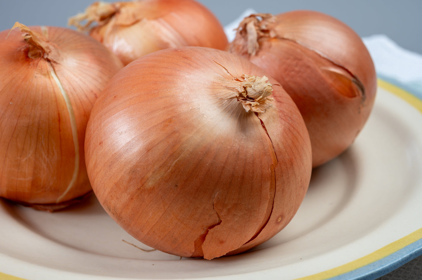 500 Sweet YELLOW SPANISH ONION Allium Cepa Vegetable Seeds