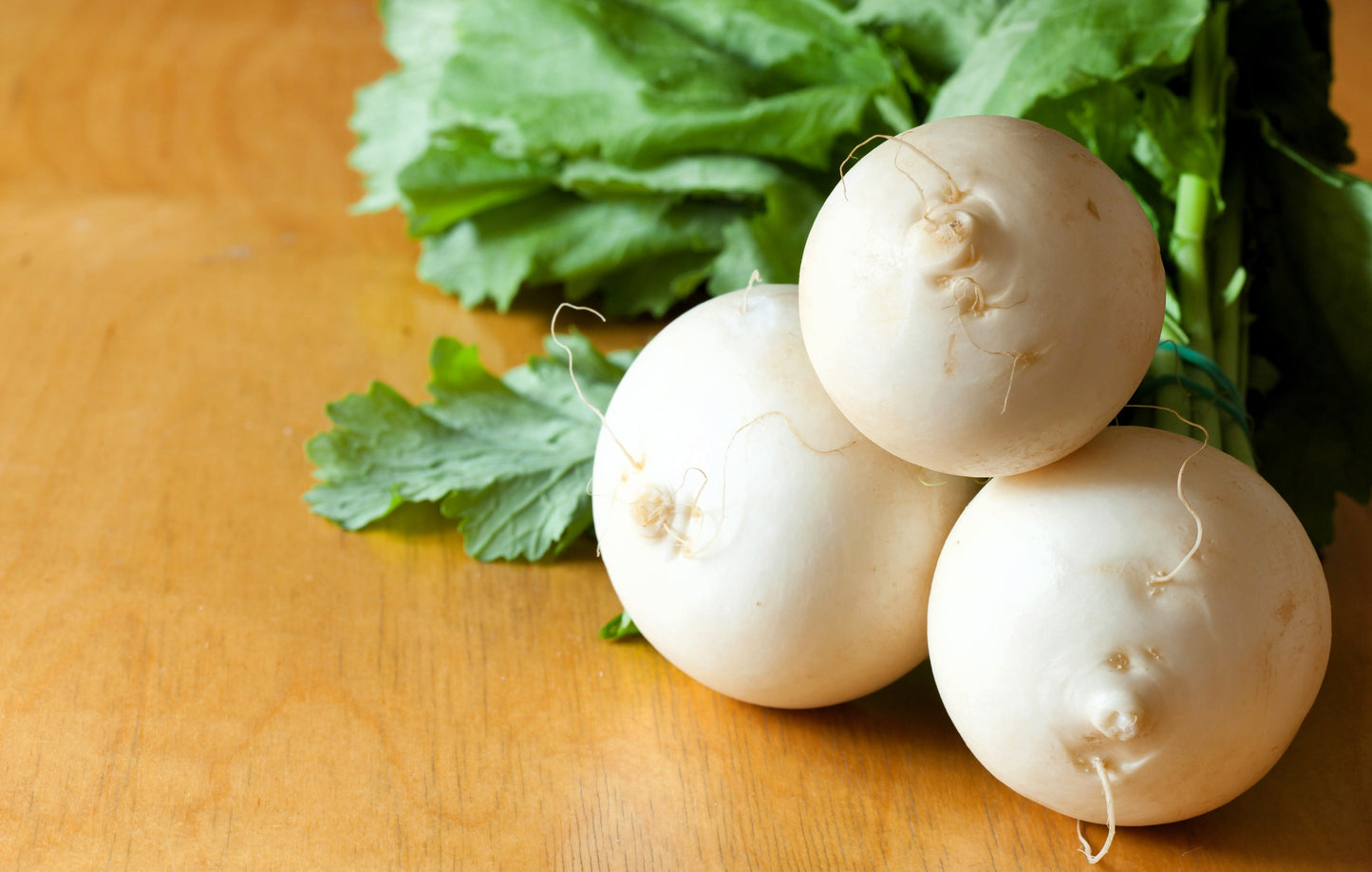 300 WHITE EGG TURNIP Brassica Rapa Vegetable Seeds