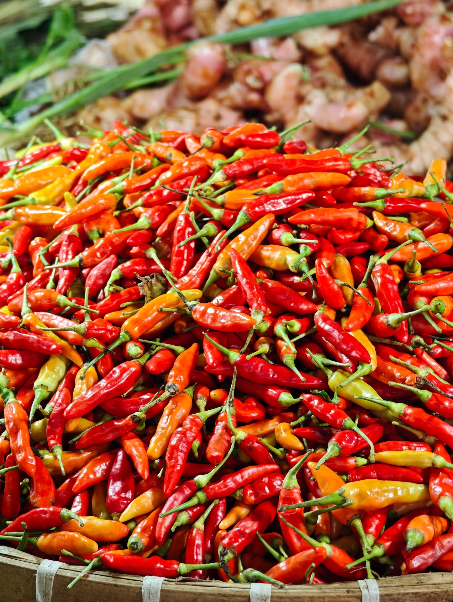 30 BIRDS Eye CHILI PEPPER (Chiltepin Pepper) Capsicum Frutescens Vegetable Seeds