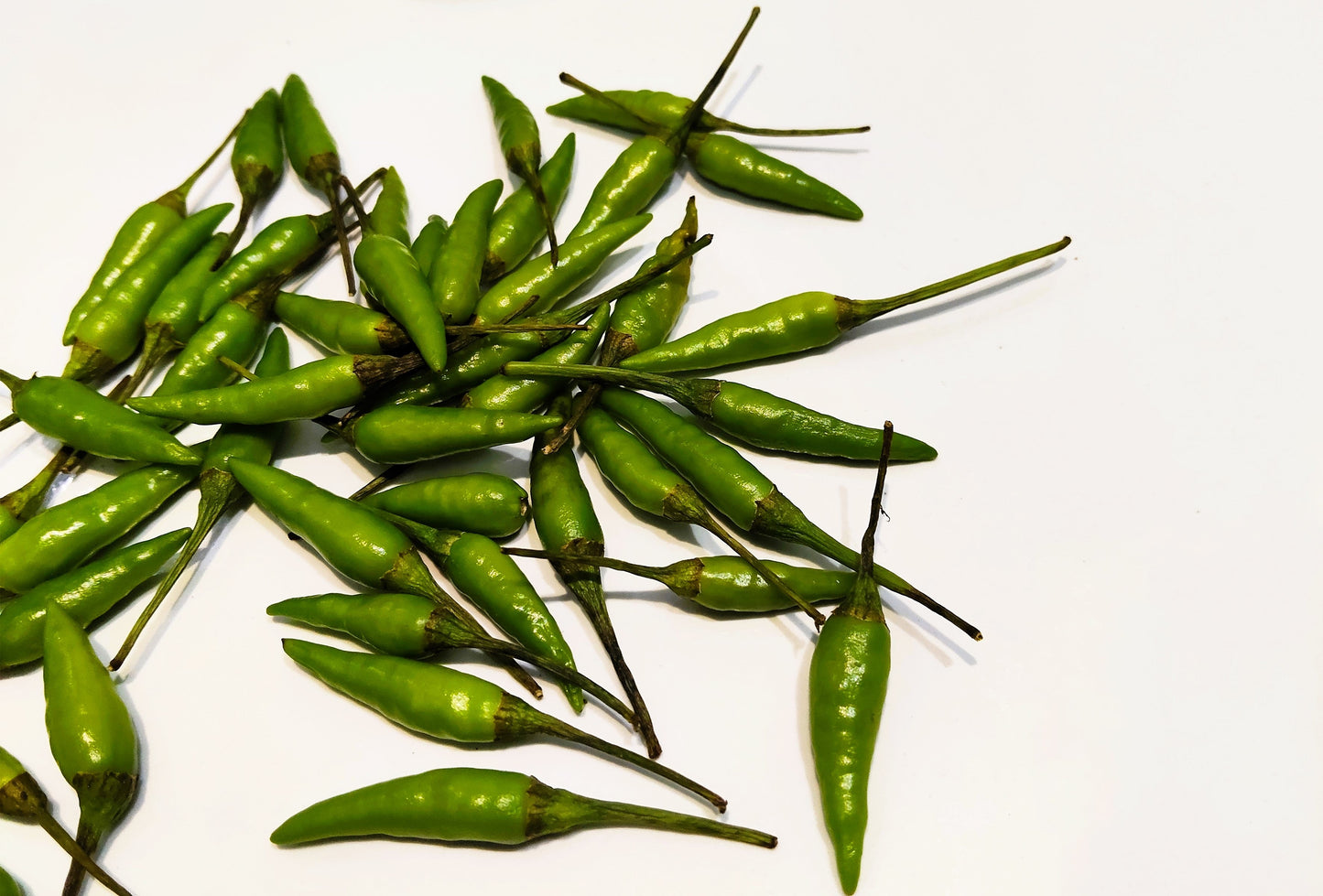 30 BIRDS Eye CHILI PEPPER (Chiltepin Pepper) Capsicum Frutescens Vegetable Seeds