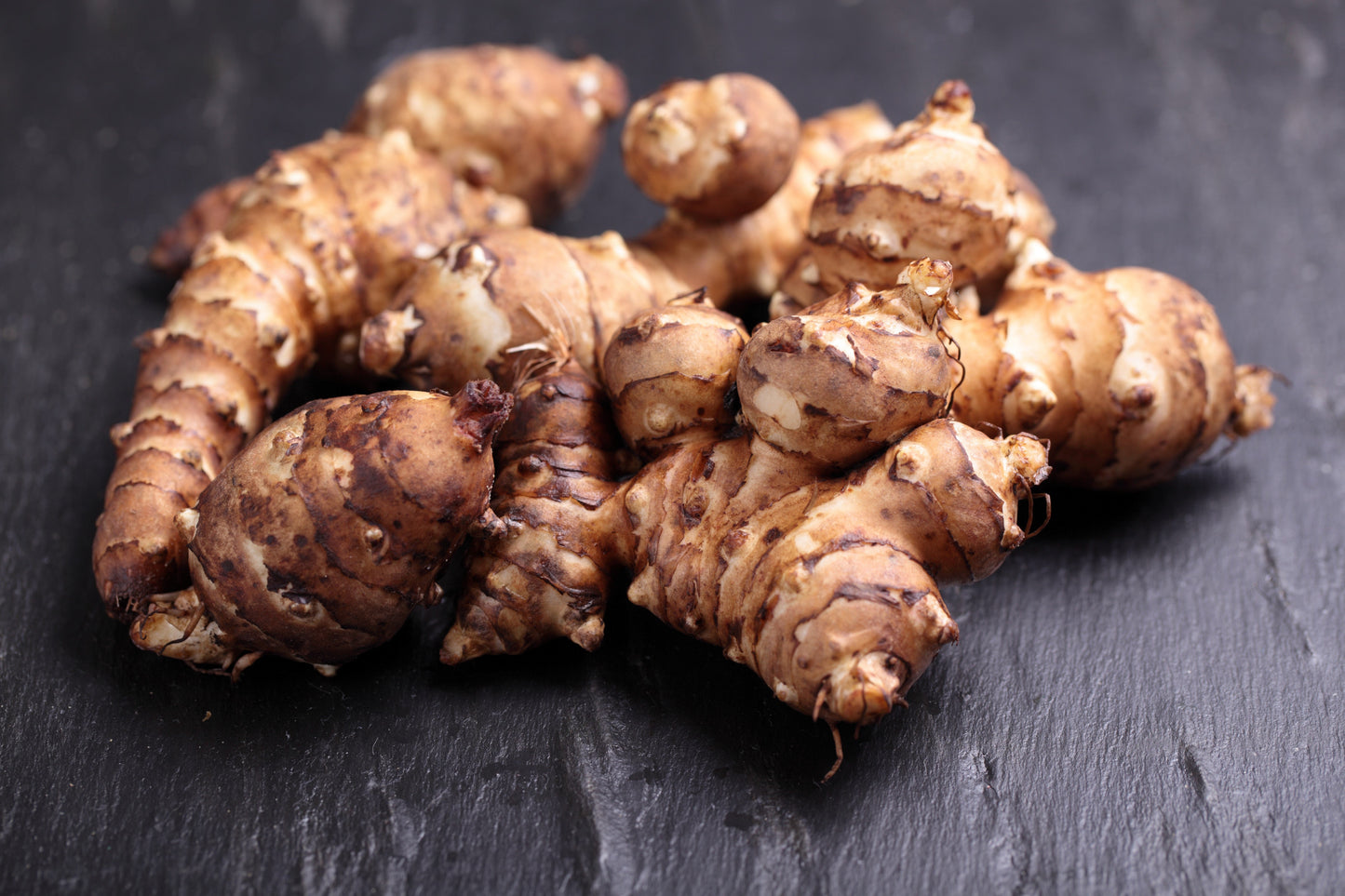 20 JERUSALEM ARTICHOKE Sunchoke Sunroot Helianthus Tuberosus Yellow Sunflower Root Vegetable Seeds