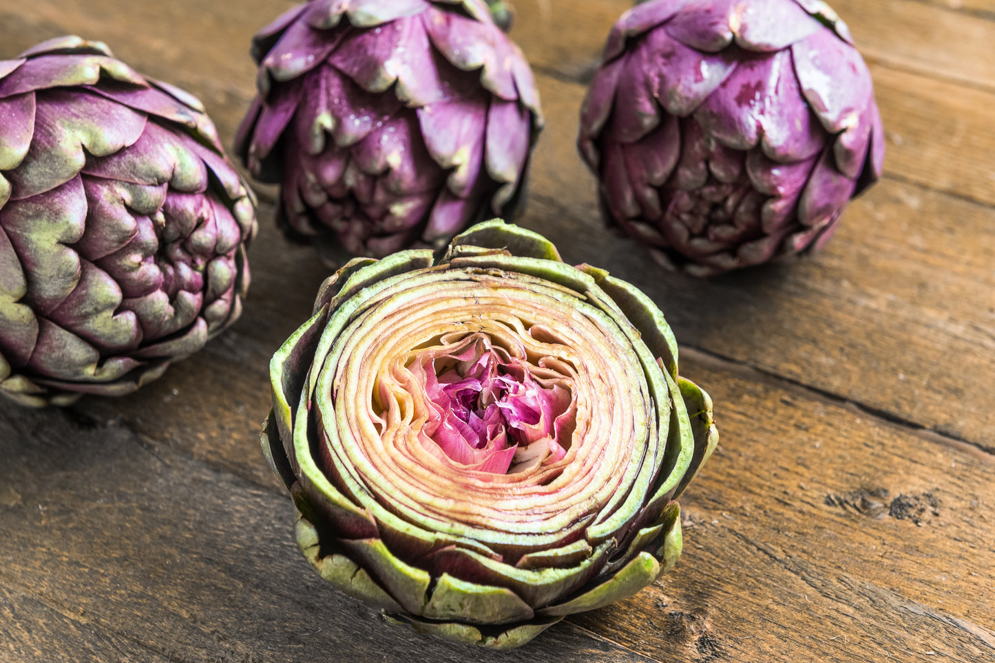 50 PURPLE ROMAGNA ARTICHOKE Italian Cynara Scolymus Flower Vegetable Seeds