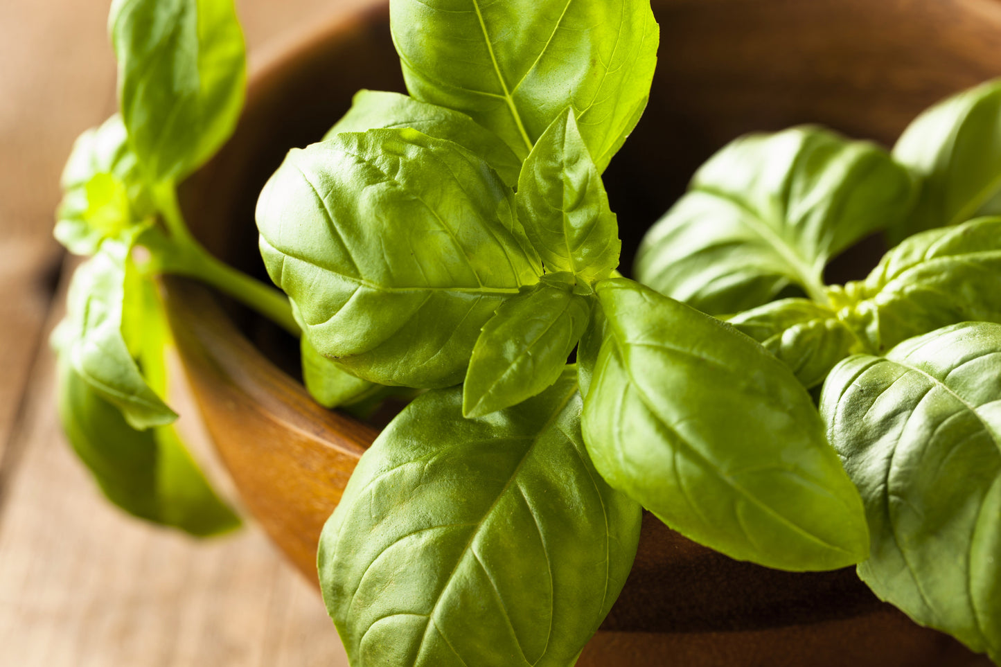 1500 SWEET BASIL Ocimum Basilicum Herb White Flower Seeds