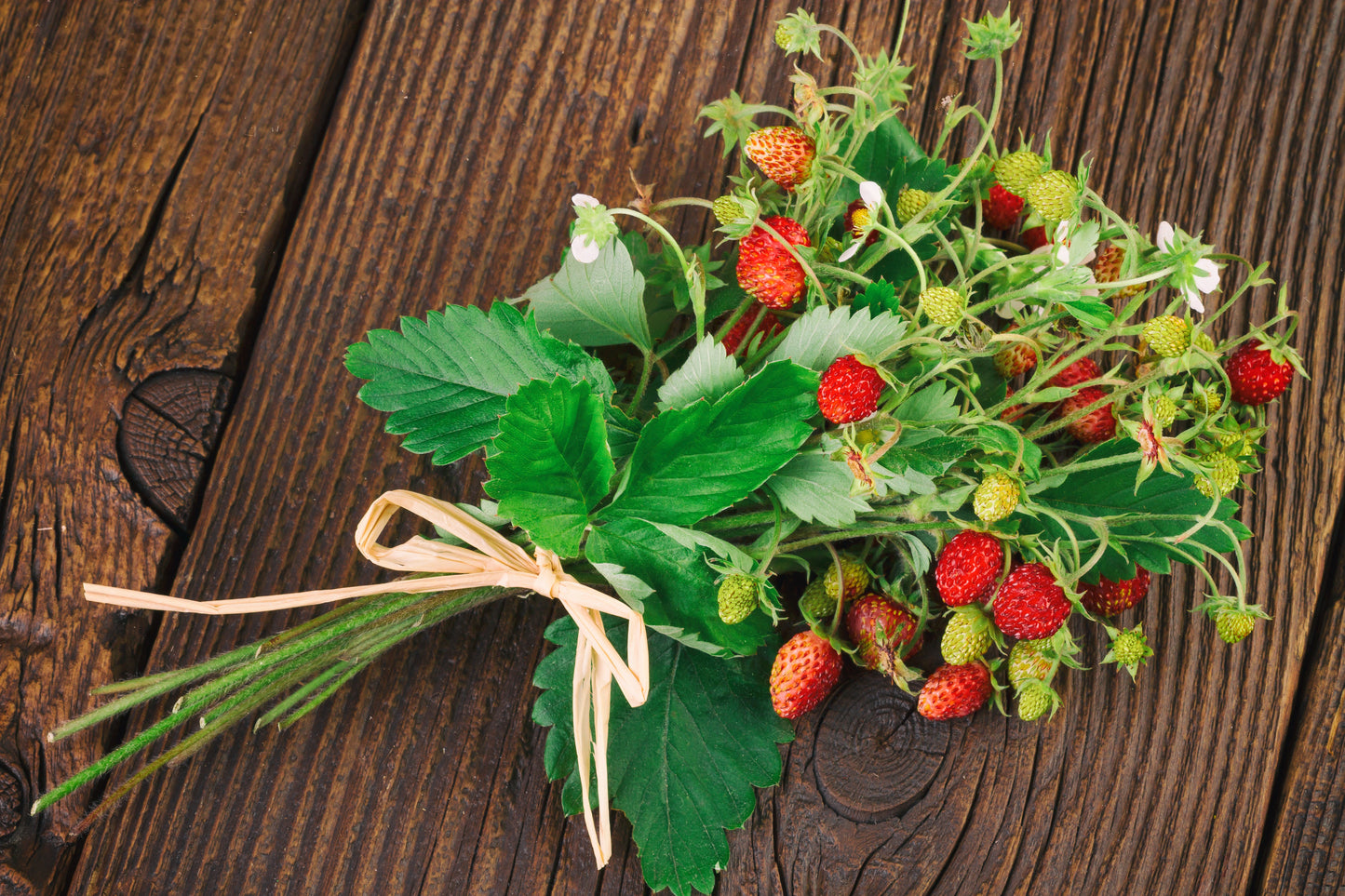 100 ALPINE STRAWBERRY Fragaria Vesca Red Fruit White Flower Seeds