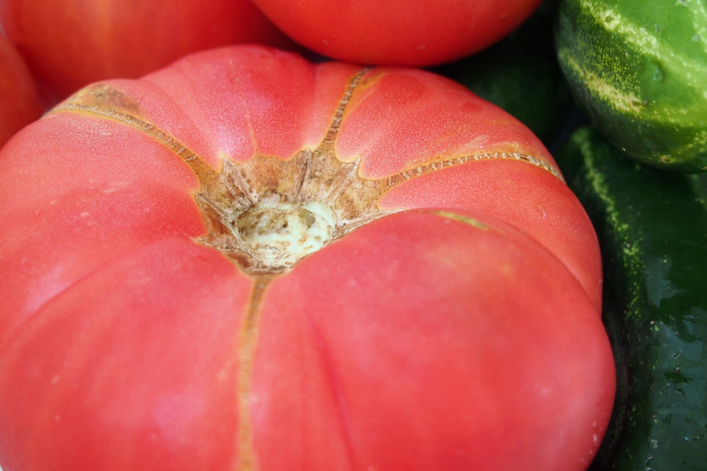 50 Giant BELGIAN PINK TOMATO Huge Pink Skin Lycopersicon Fruit Vegetable Seeds