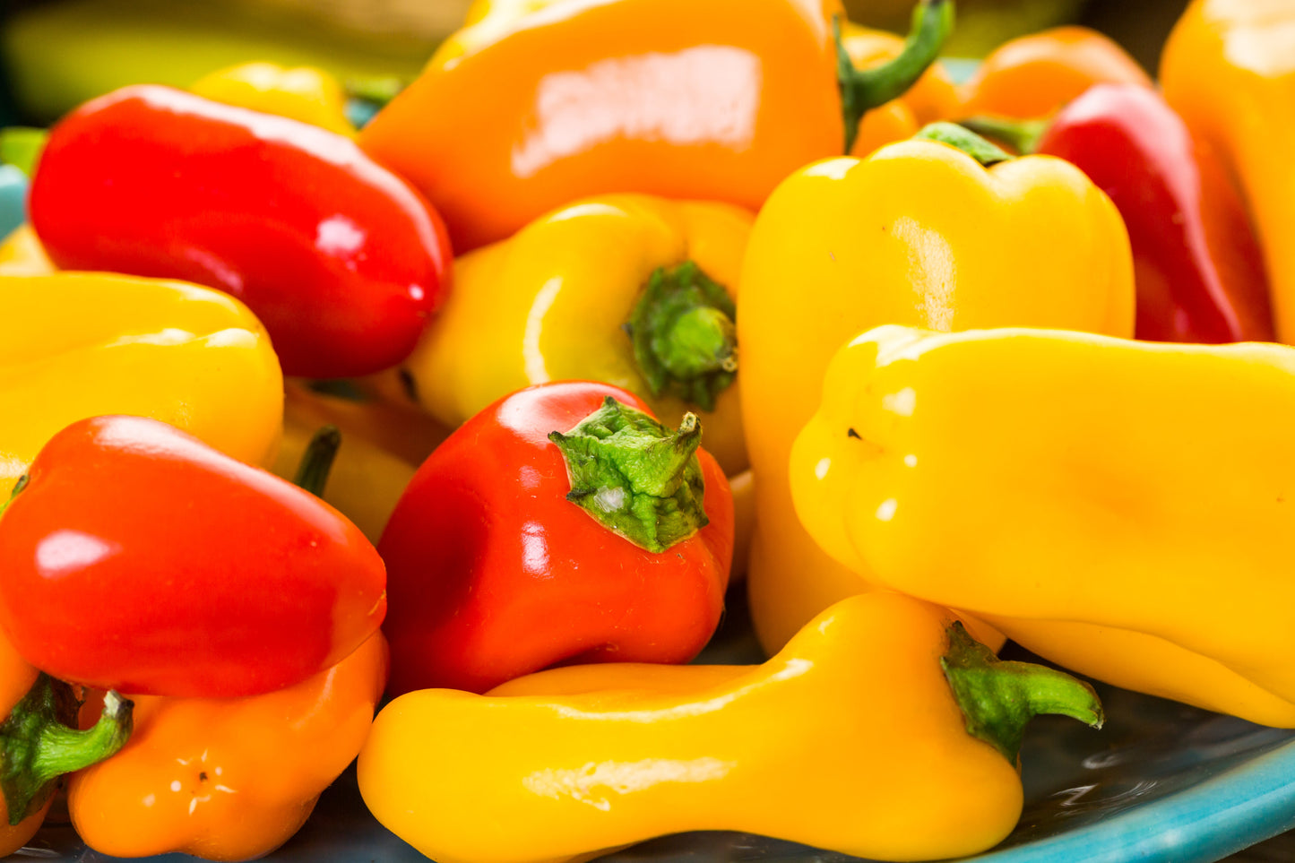 200 SANTA Fe GRANDE PEPPER (Guero Chili Pepper / Yellow Hot Chili Pepper) Capsicum Annuum Vegetable Seeds