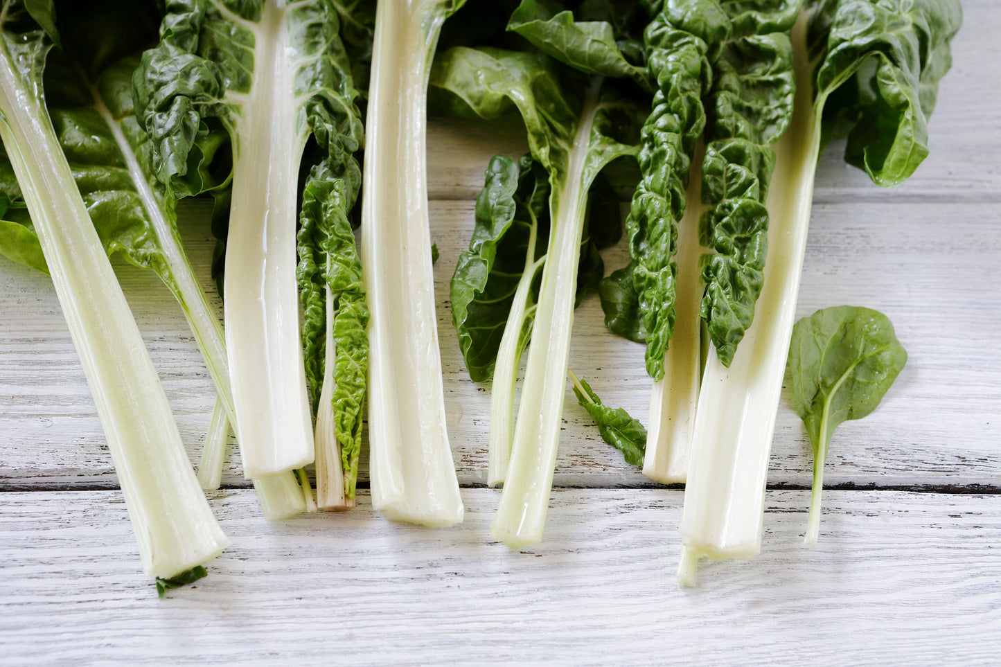 300 LUCULLUS SWISS CHARD Beta Vulgaris White Perpetual Spinach Vegetable Seeds