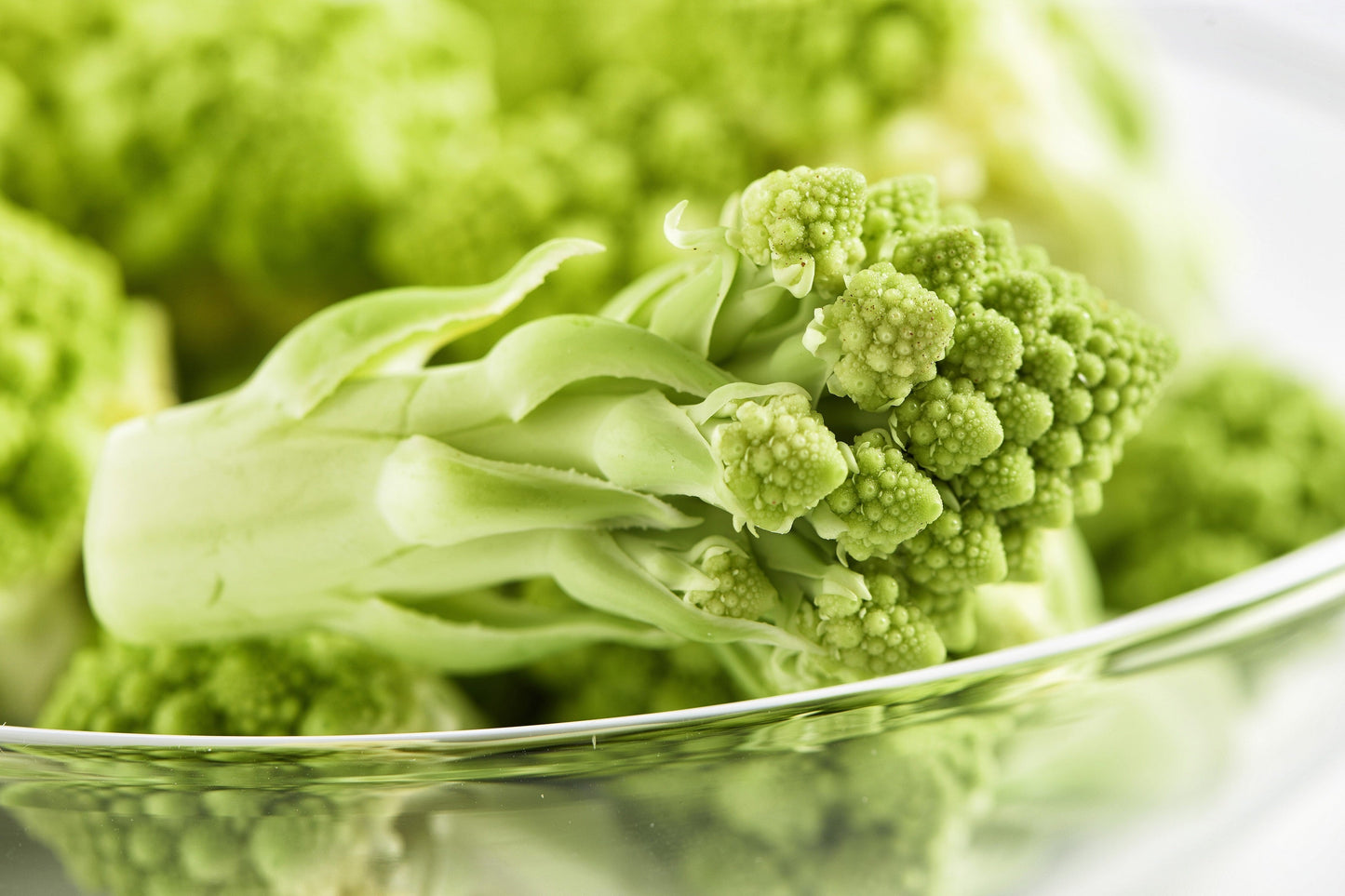 500 ROMANESCO BROCCOLI Broccoflower Roman Cauliflower Pyramid Broccolo Brassica Oleracea Vegetable Seeds