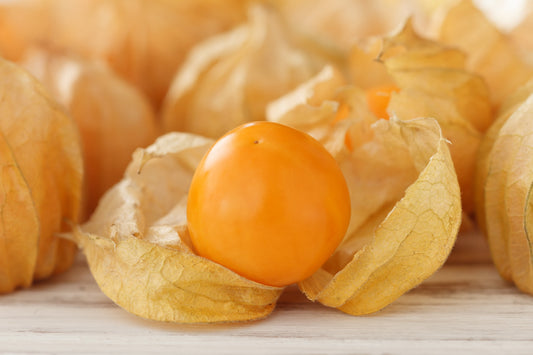 50 PERUVIAN GROUND CHERRY Physalis Peruviana Cape Gooseberry Fruit Veggie Seeds